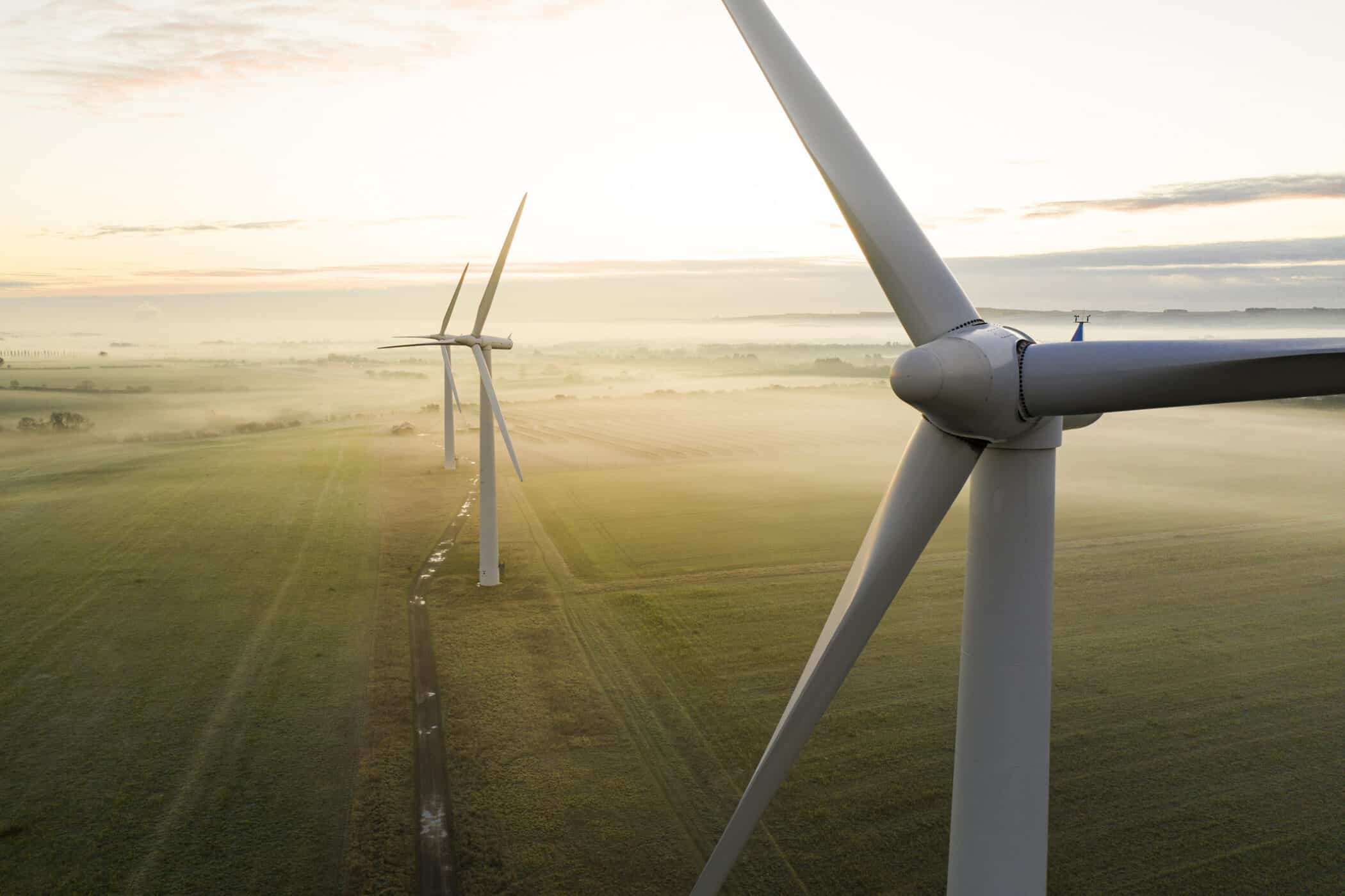 Amazon buys into Scottish wind
