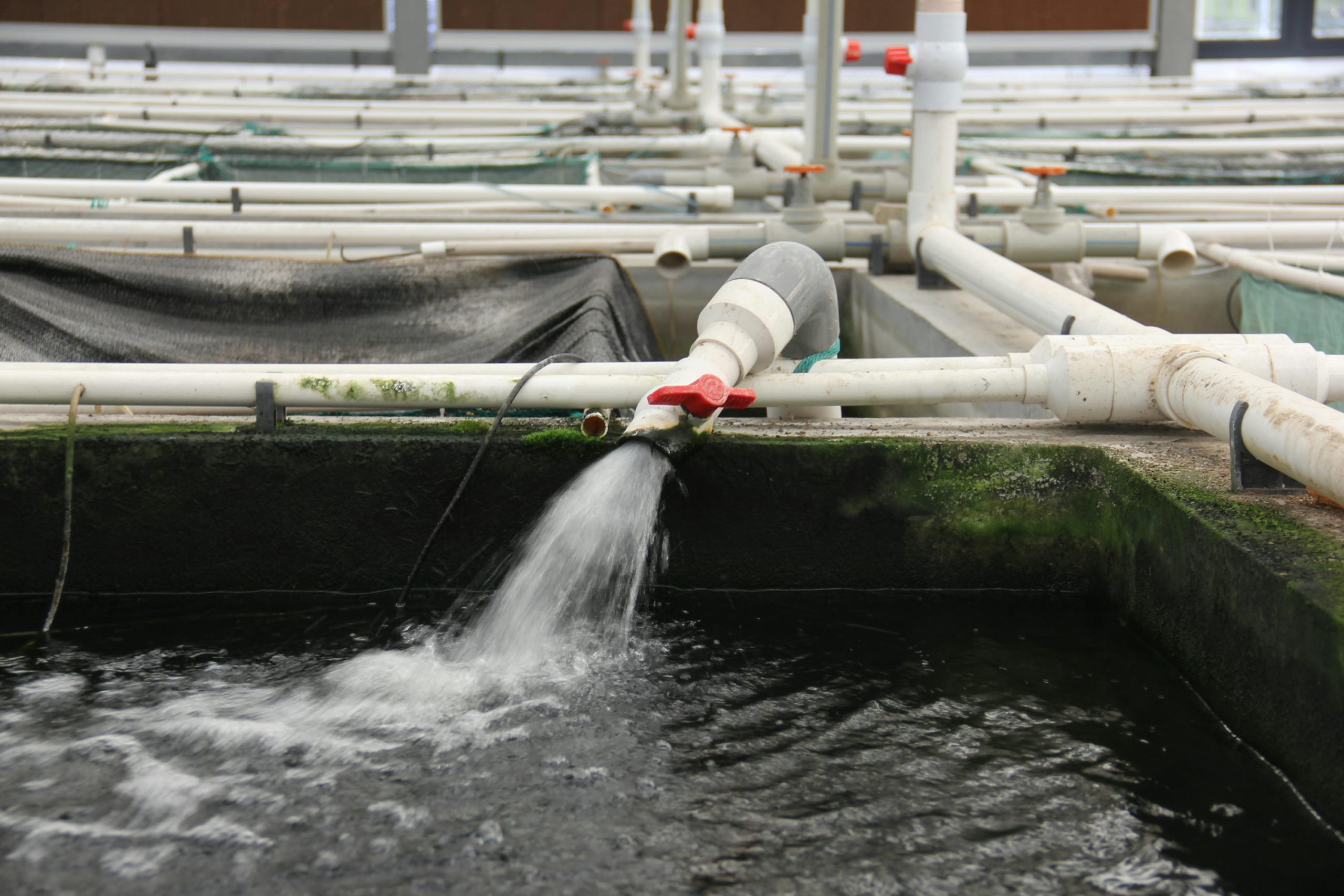 Water networks start pricing in data centre growth Water networks start pricing in data centre growth