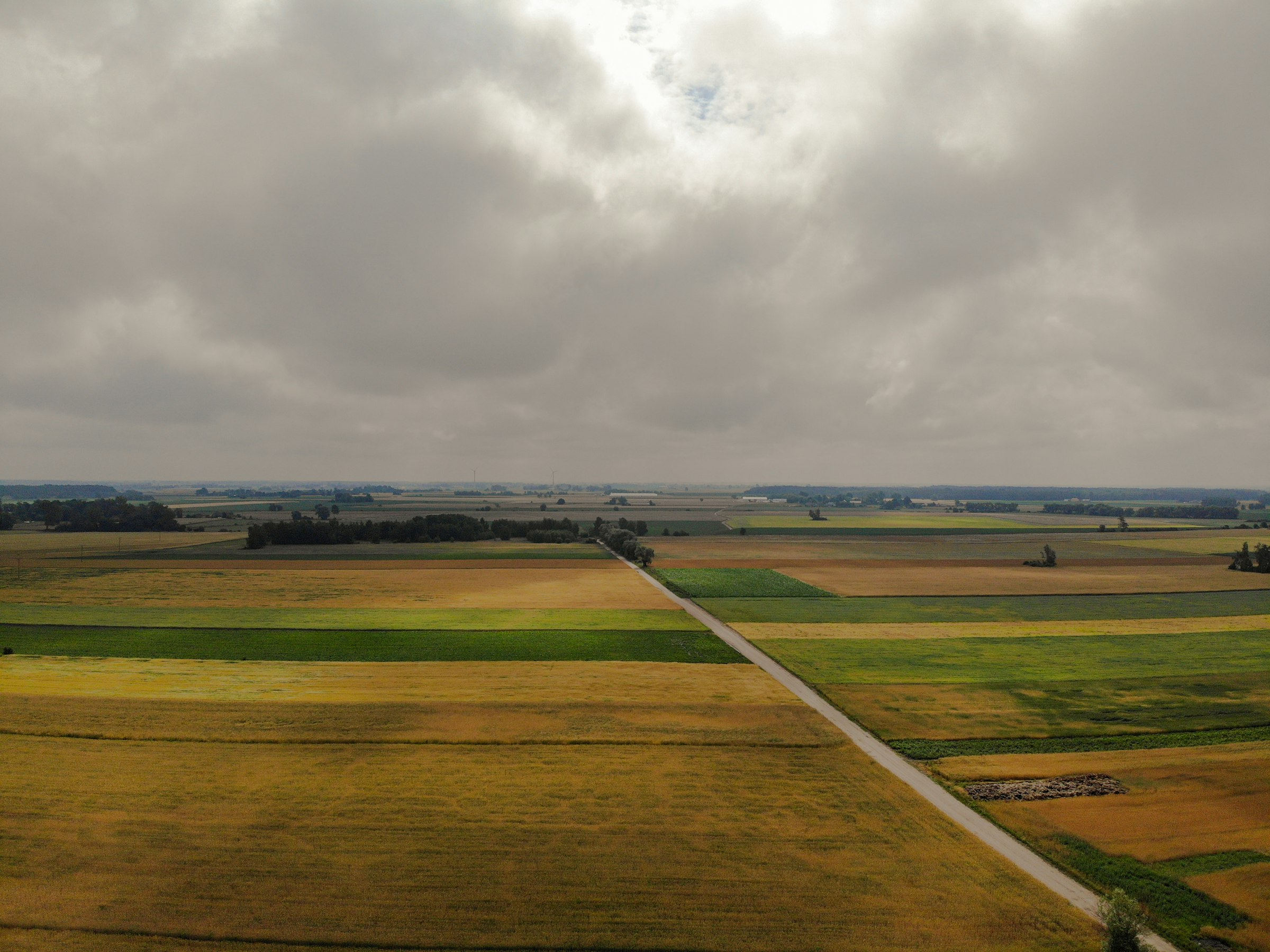 Polish council blocks 90-hectare data centre plan